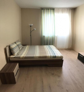 ApartOk Novotushinskaya 5, Putilkovo